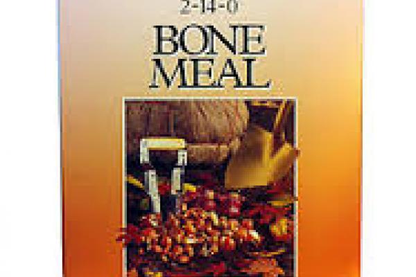 Evergro Bone Meal