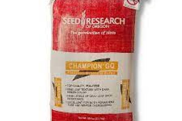 Champion GQ Perennial Ryegrass Lawn Seed