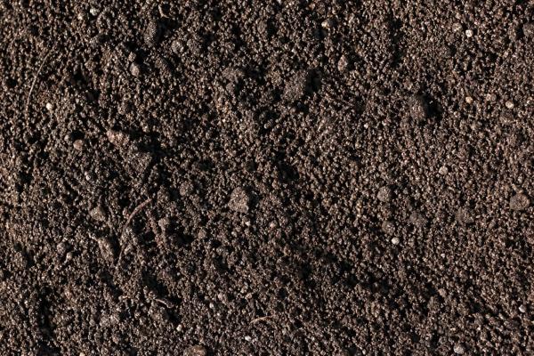 Lawn and Garden Blend
