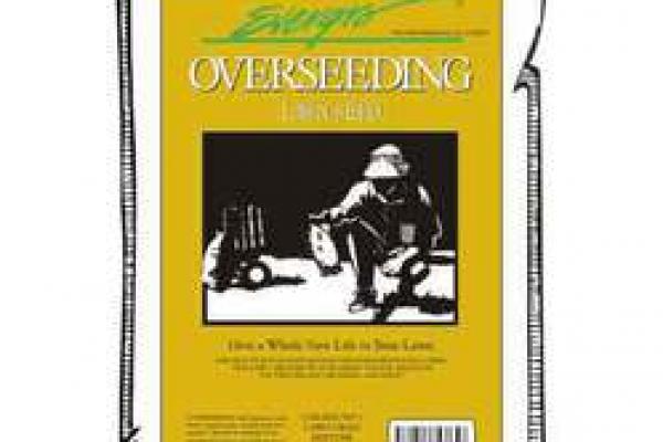Over Seeding Lawn Seed - 2Kg