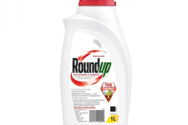 Roundup Grass & Weed Control Concentrate - 1L