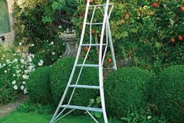 Hasegawa Tripod Ladder